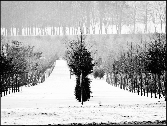 09/01/2009 / Versailles, Parc du Château sous la Neige / panasonic DMC-tz5 / OLIVIER MERIJON